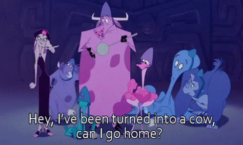 gif of a cow from the Emperor's New Groove