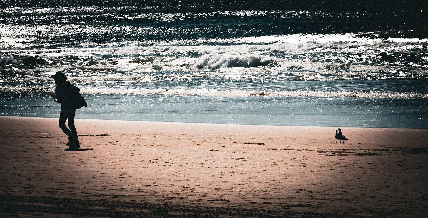 Person Walking on Beach at Sunset