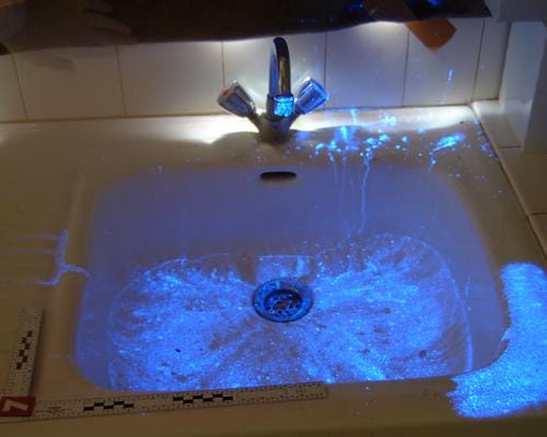 luminolpowderamazon_01