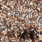 Using psychedelics in recovery, part 3