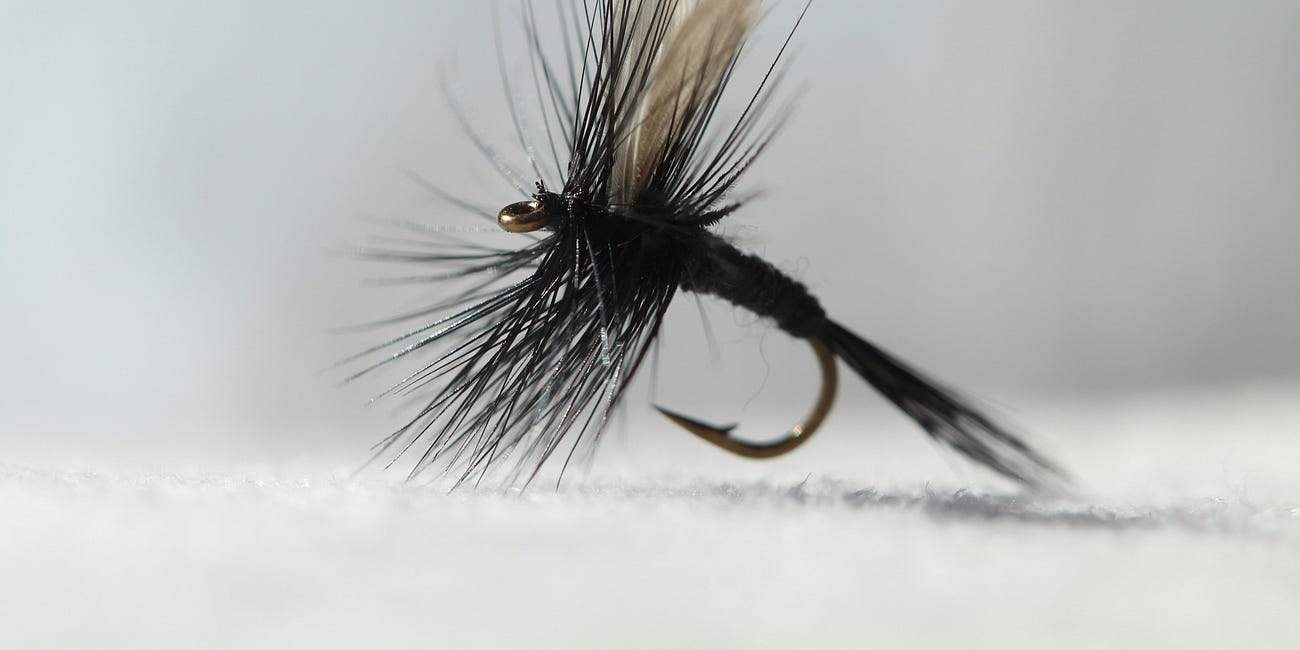 The Weekly Five - 42