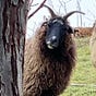 Kathy Hanks's avatar