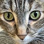Eujean2's avatar