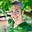 MICHELLE MCILROY's avatar