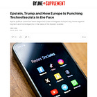 ‘Europe Is Punching Technofascists in the Face’