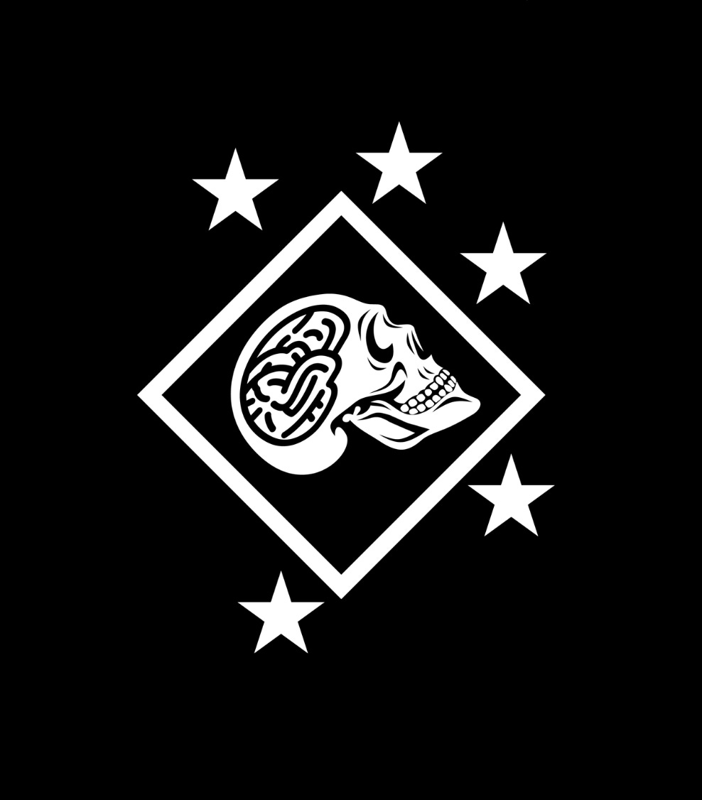 The Cognitive Raider's Substack