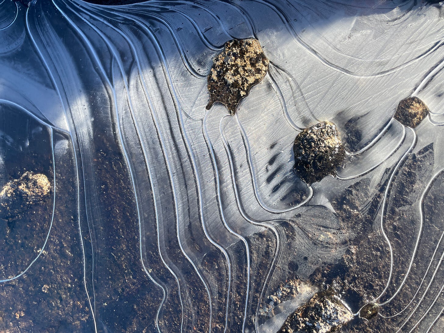 lines of ice on the surface of a frozen alpine tarn in south west tasmania