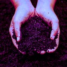 Bill Gates Launches $1.4 Billion Soil Bioengineering Initiative Under the Guise of 'Climate Adaptation'