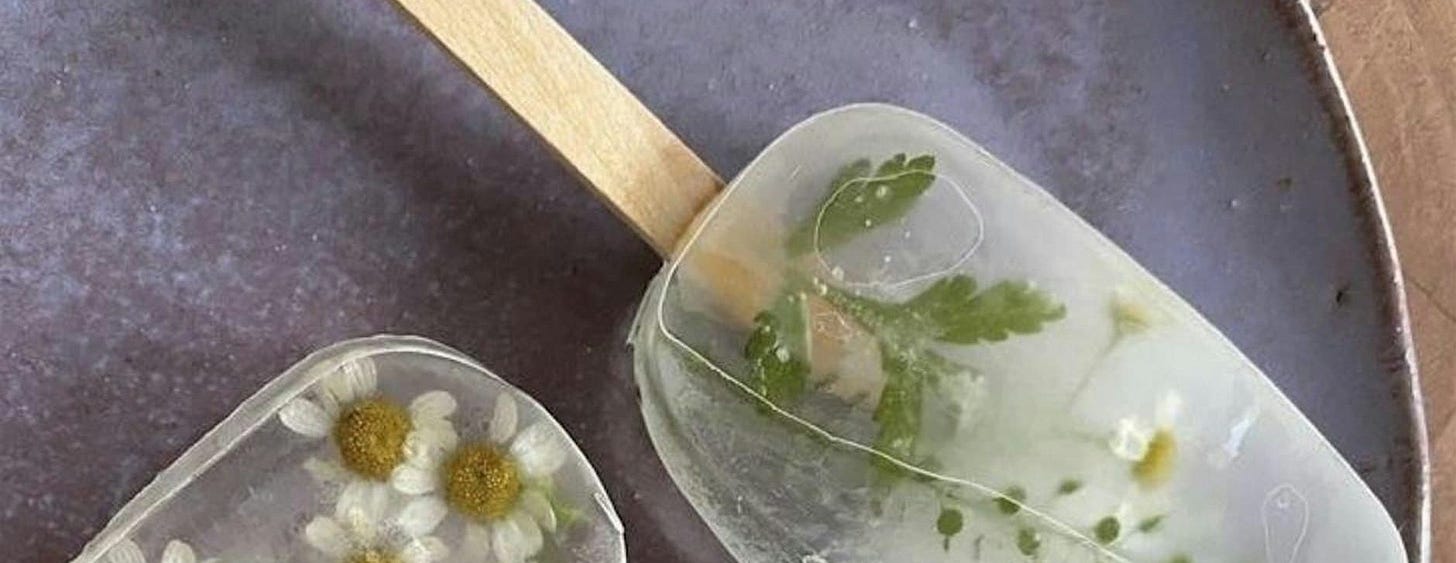 Cooling Summer Potions with Julianne Zaleta