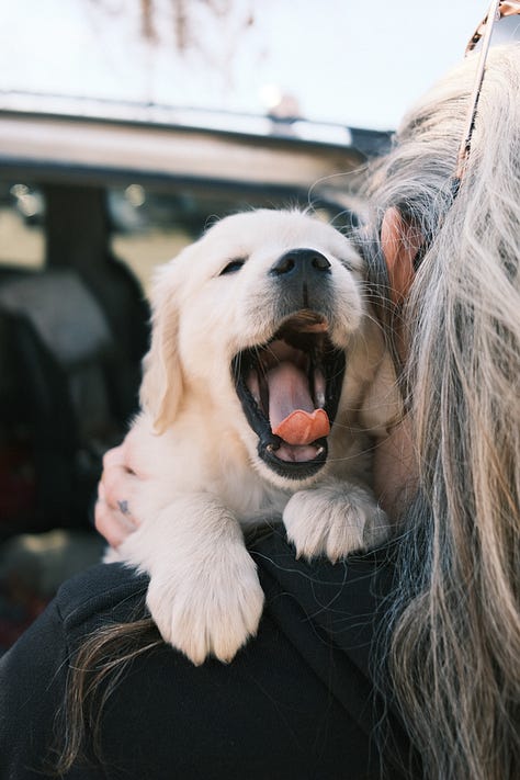 Fuji photographs of life in Montana by Tyler Knott Gregson
