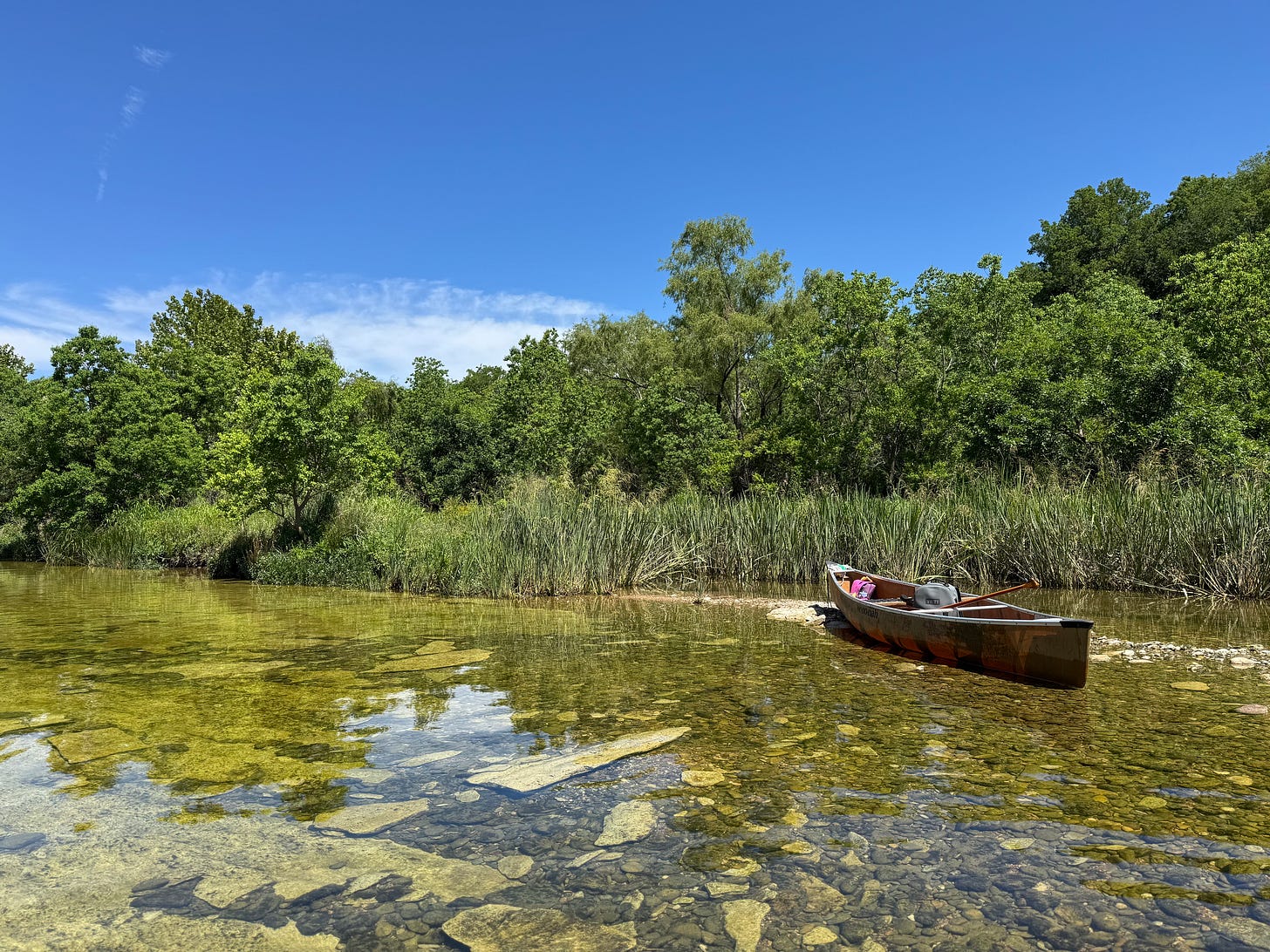Canoe with paddles at river's edge