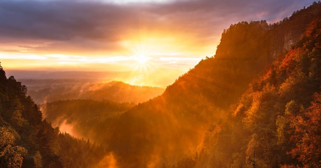 mountains and tree range during golden hour