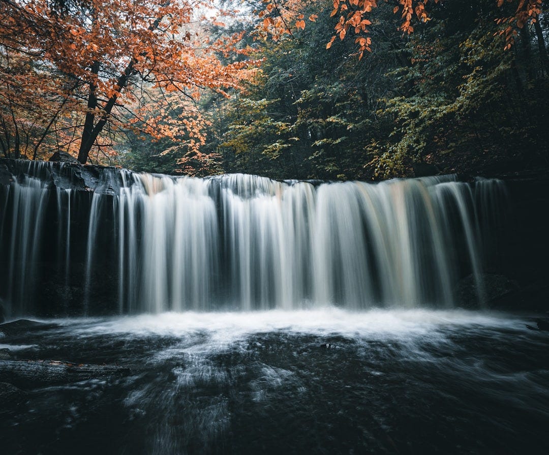 a waterfall with trees around it