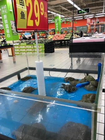 Not at the pet store or the aquarium, kids!