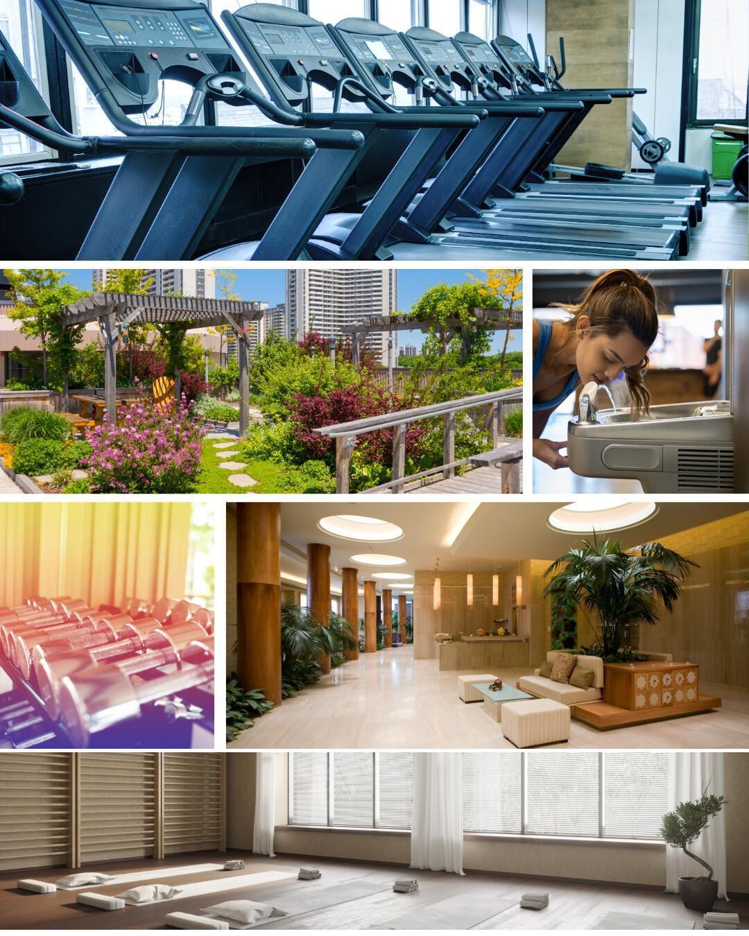 Wellness as the New Standard in Multifamily Housing