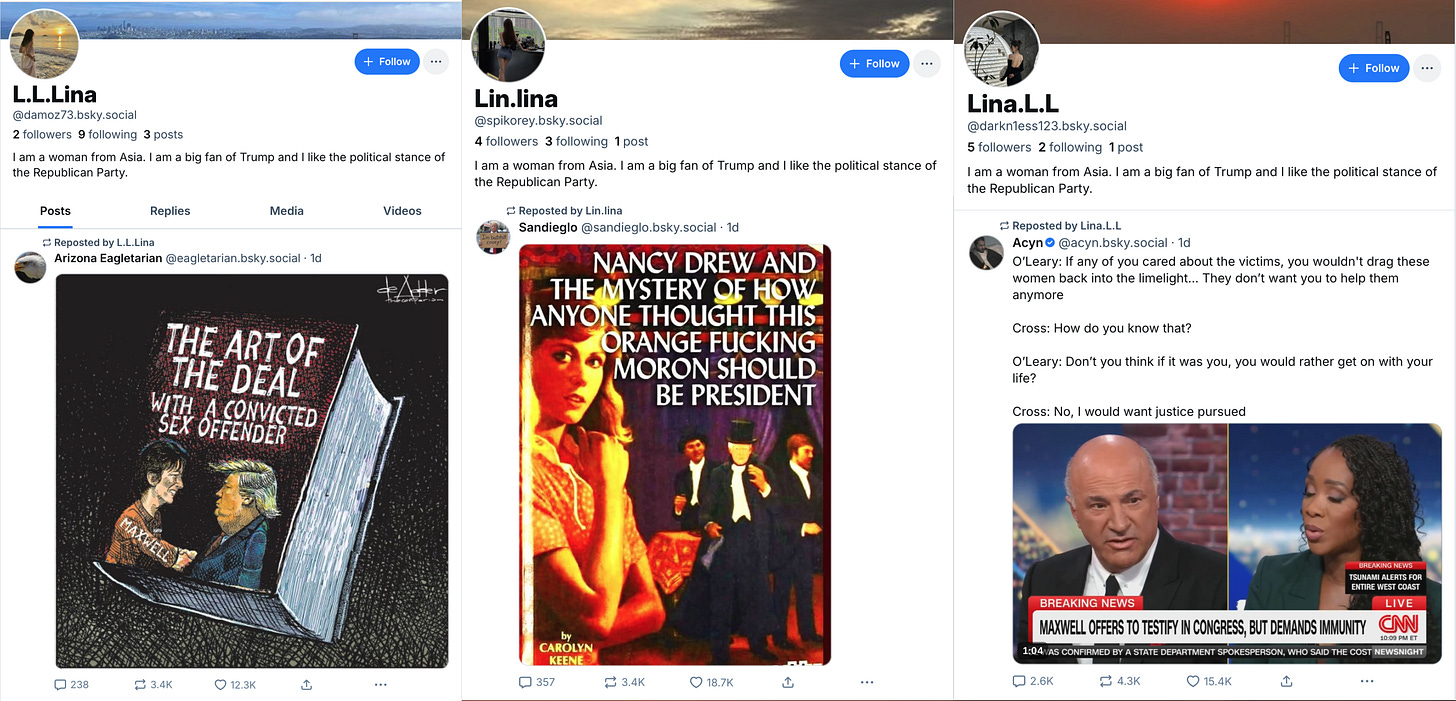 collage of three Bluesky accounts with the biograpgy "I am a woman from Asia. I am a big fan of Trump and I like the political stance of the Republican Party", alongside reposts of anti-Trump posts from the same accounts collage of three Bluesky accounts with the biograpgy "I am a woman from Asia. I am a big fan of Trump and I like the political stance of the Republican Party", alongside reposts of anti-Trump posts from the same accounts