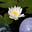 Cathie Clement's avatar