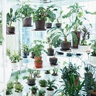 ケアが植物に意味をあたえる 
