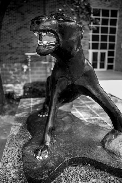 campus buildings and mascot