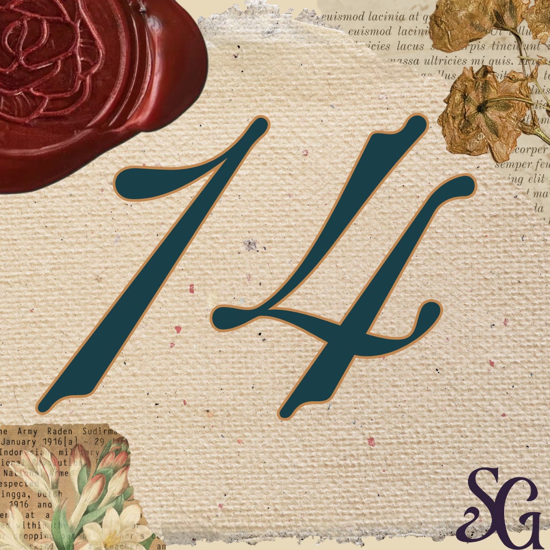 A stylized picture that focuses on the number "14"