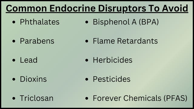 Endocrine Disruptors Explained: What You Need to Know About EDCs and ...