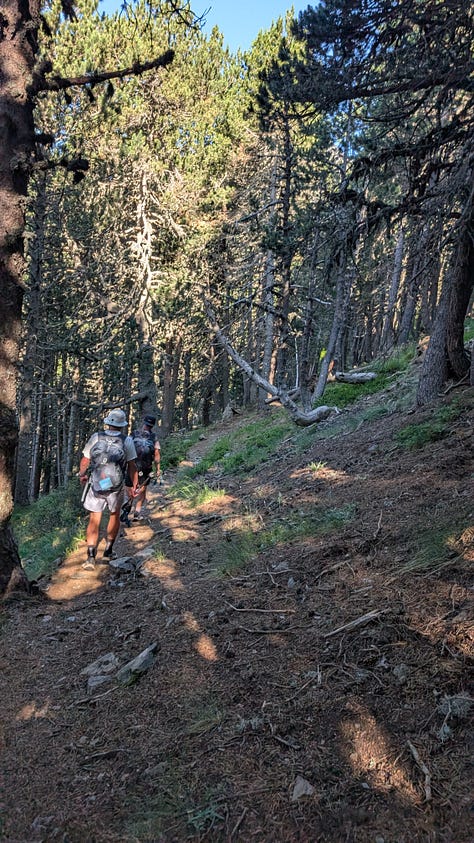 Descending and to the next climb