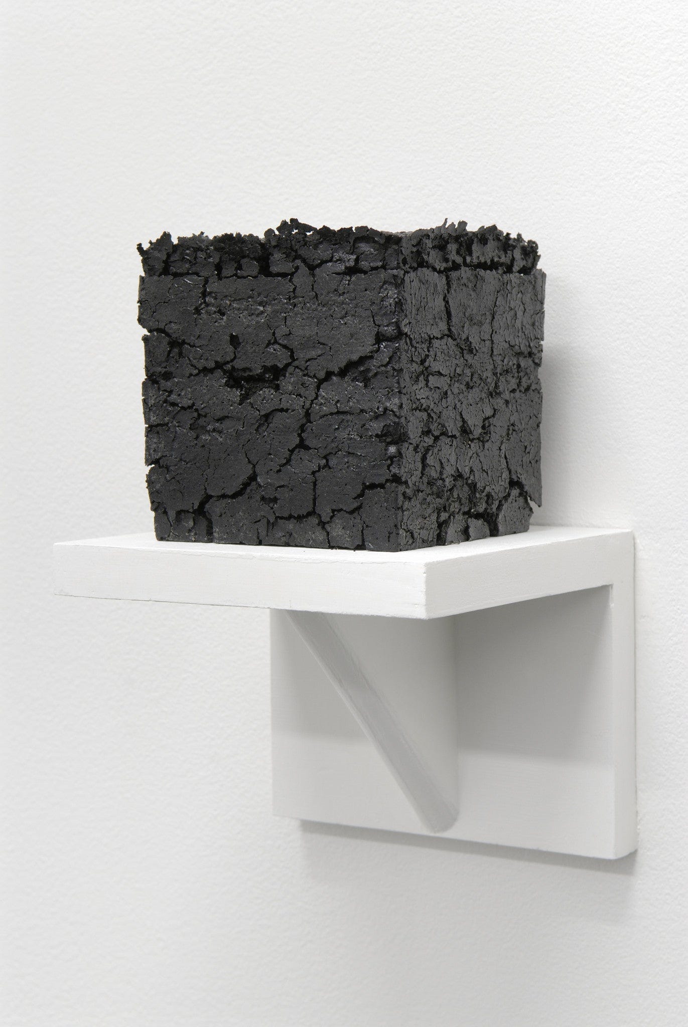 Vincent Como, "4.5 Cubic Inches (Volume of the Inside of My Head)" –  SPRING/BREAK Art Show