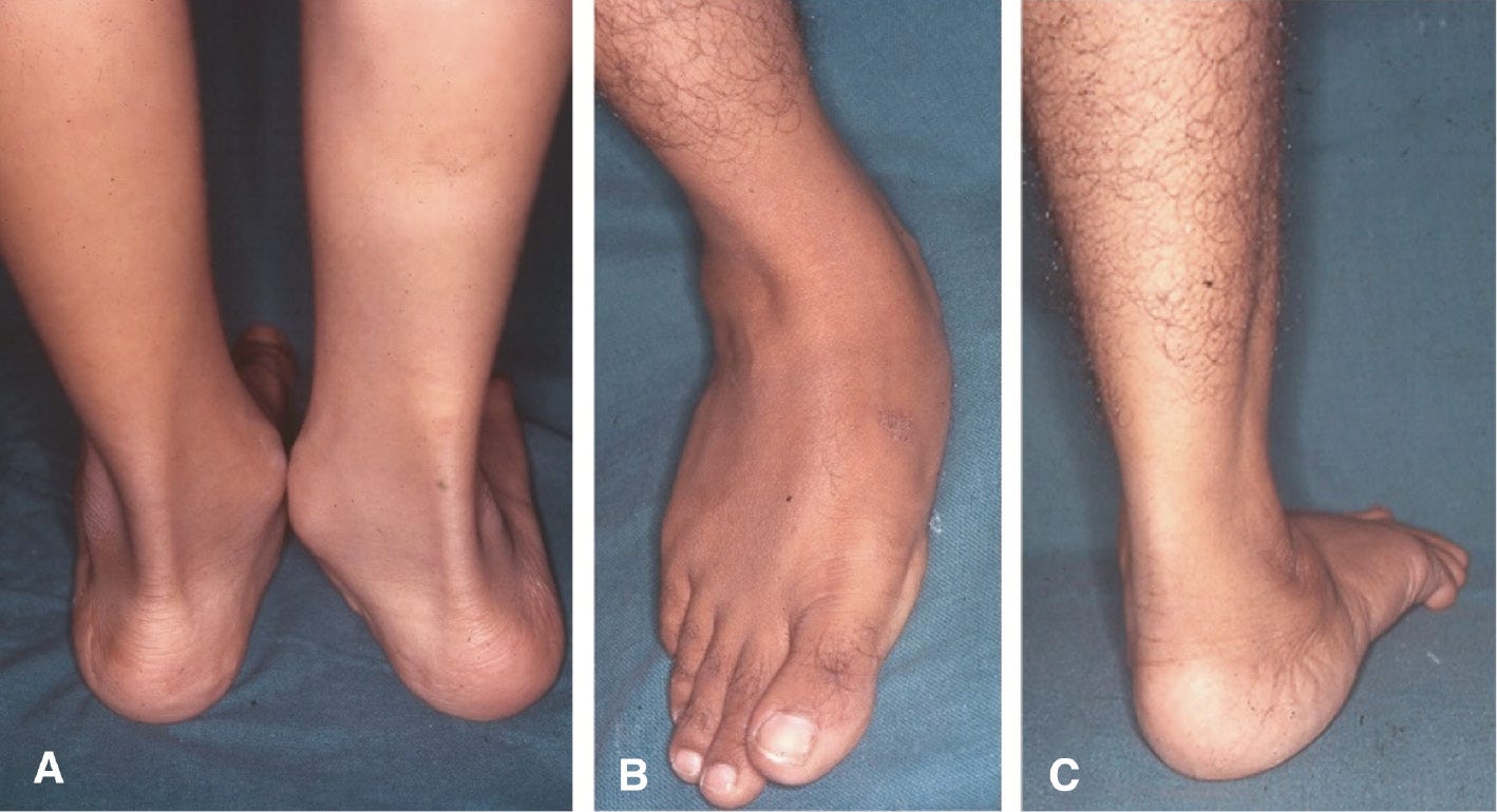 jposna20220038_fig1.jpg