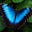 Blue Monarch's avatar