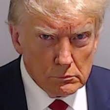Trump's Georgia jailhouse mug shot ...