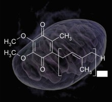 Coenzyme Q10