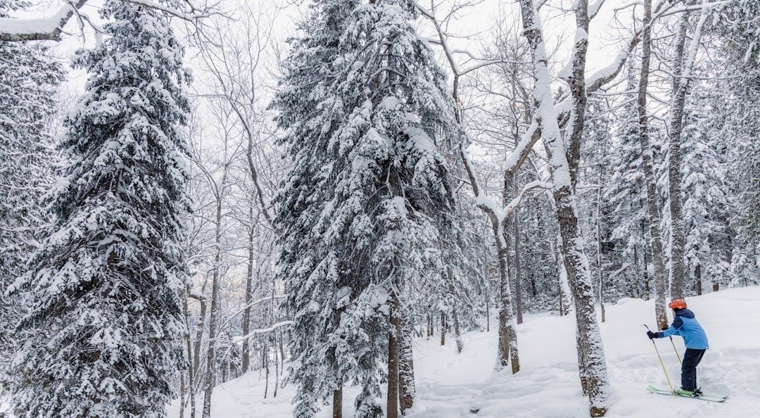 skiing down a slope is like writing a memoir
