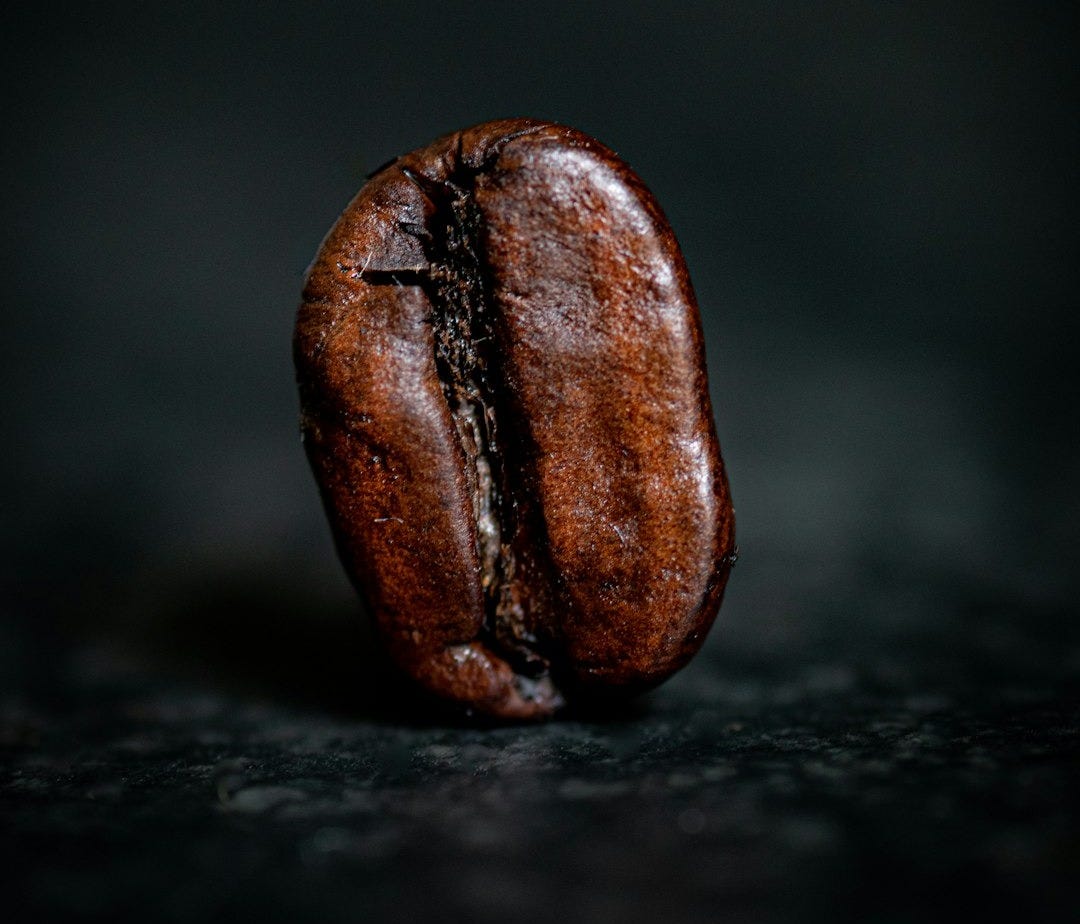 brown seed on black surface