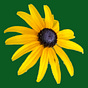 Margaret Tomlinson's avatar
