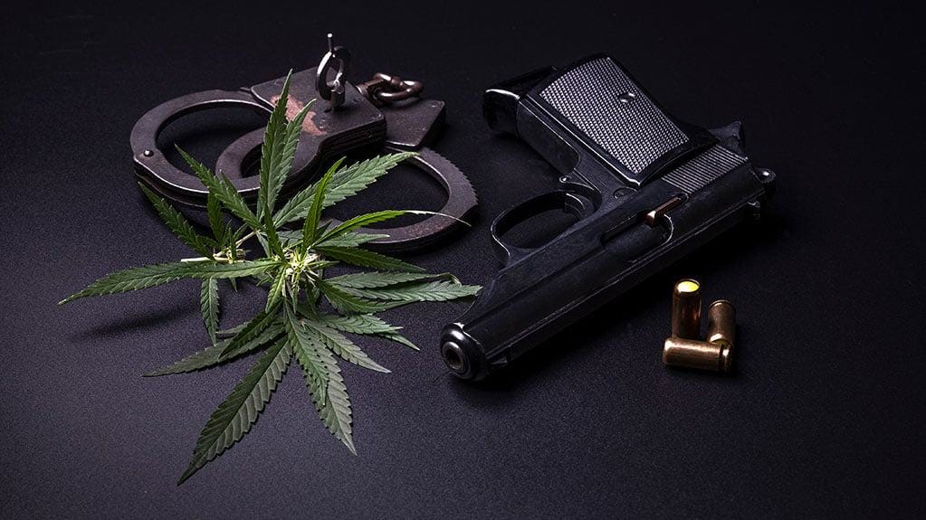 Guns or Weed? The DOJ&rsquo;s Mixed Signals Could Criminalize Millions of Gun Owners