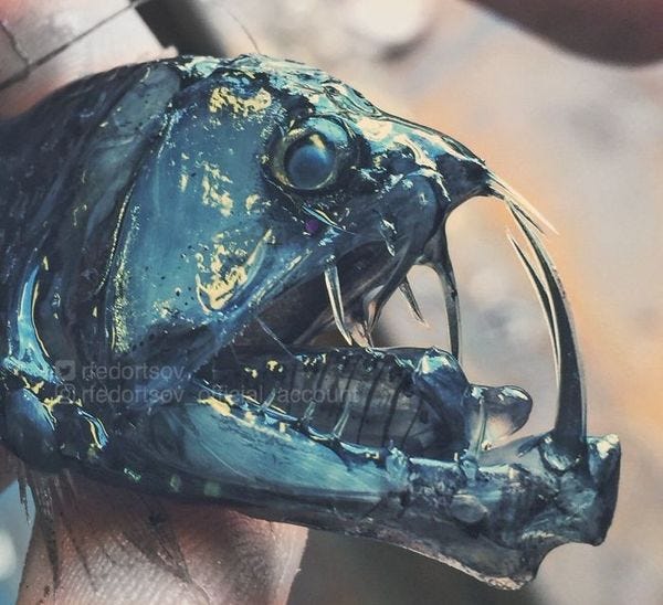 Teeth. Terrible teeth - Credit: Roman Fedortsov