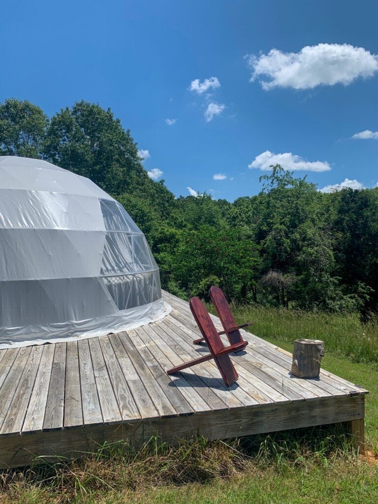 Camp-Yellow-Cardinal-story-by-R-Anthony-Harris_RVA-Magazine-2025