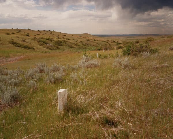 A field with white stones peeking through the grass. A field with white stones peeking through the grass.