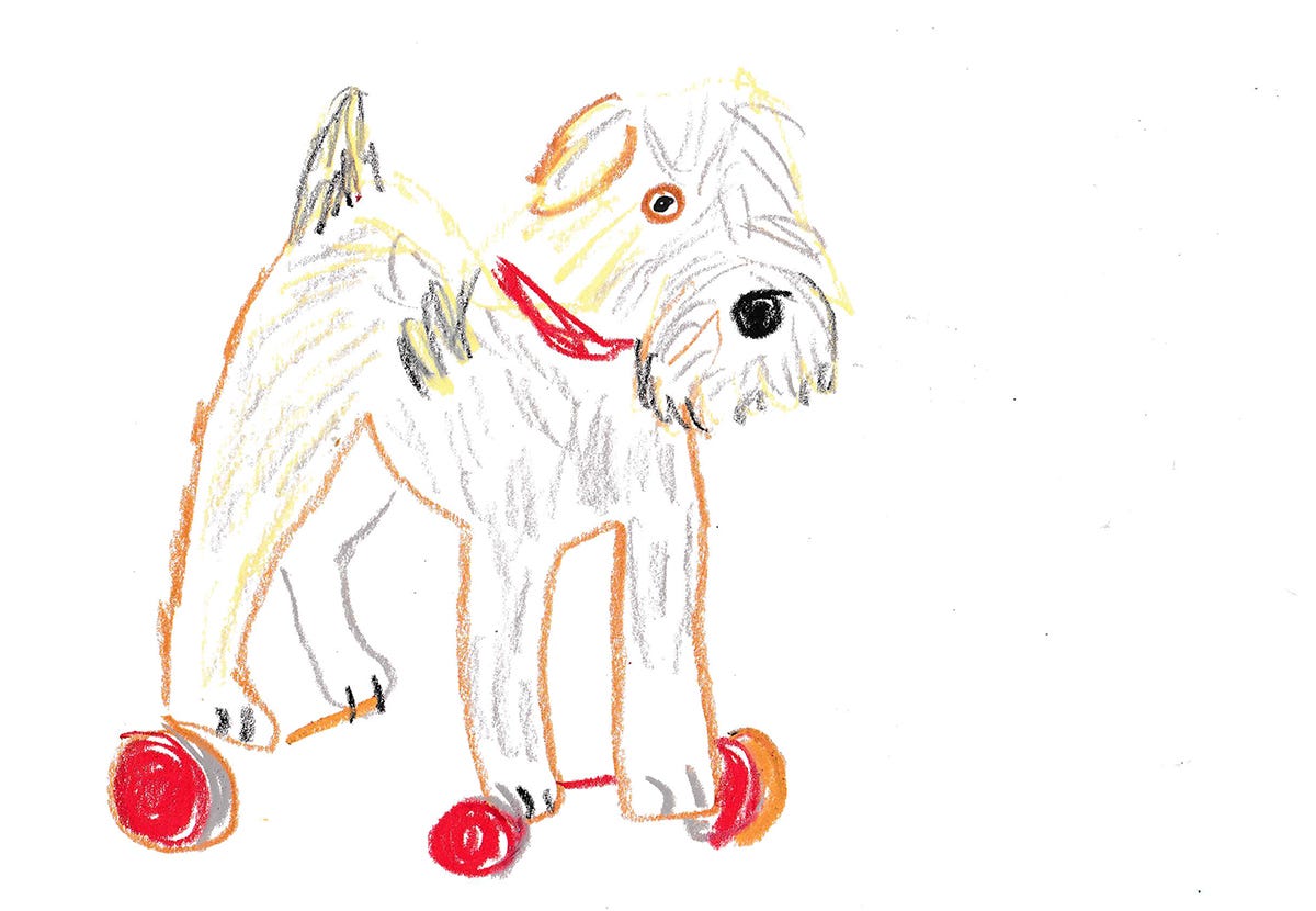 dog drawing by Beth Spencer