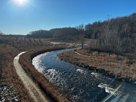 river with native grasses and saplings