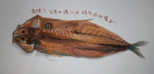 Kasuya; picture drawn by Noriko Morishita Kasuya; picture drawn by Noriko Morishita