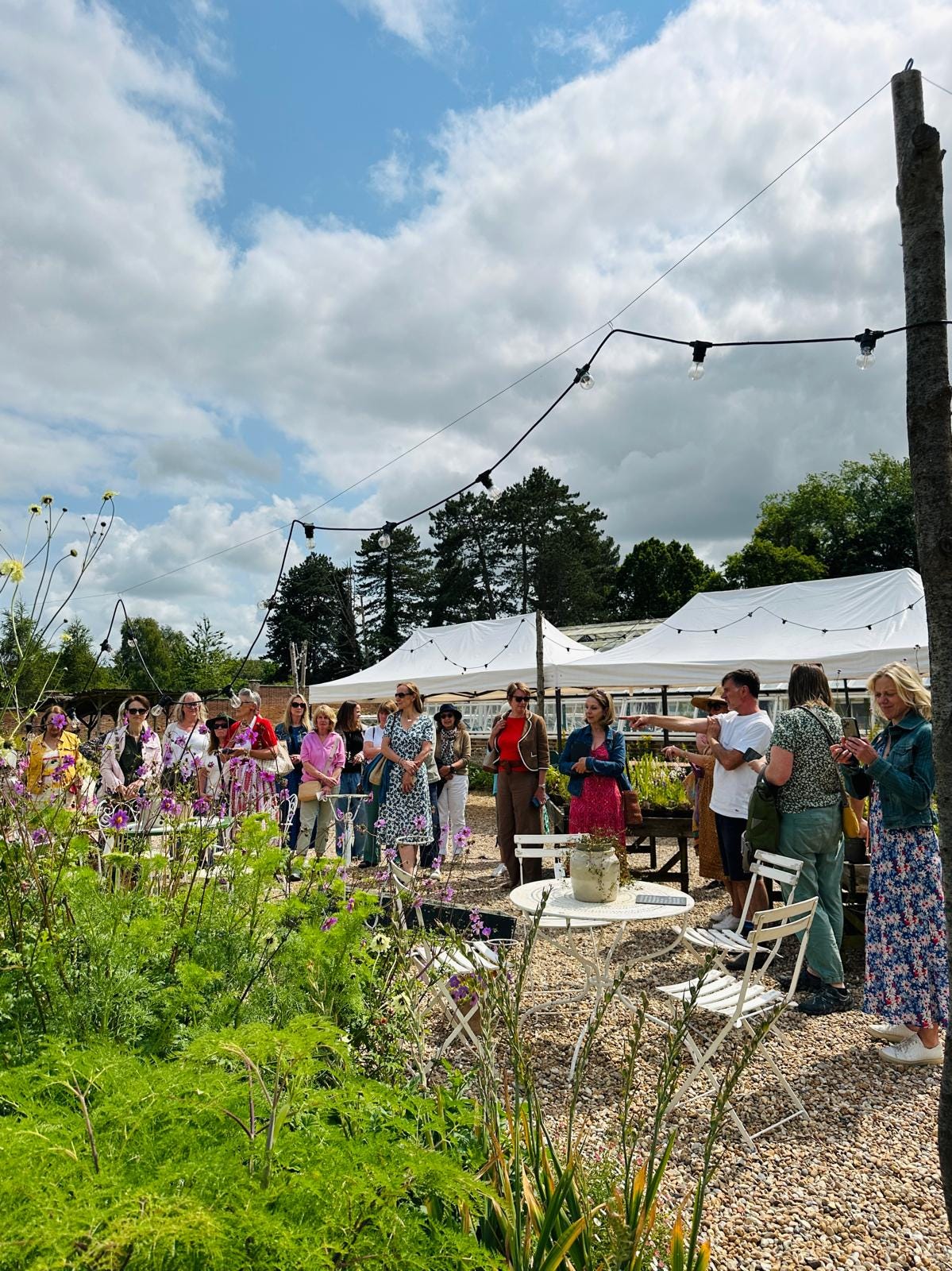 Visitors standing in a walled garden with a canopy behind