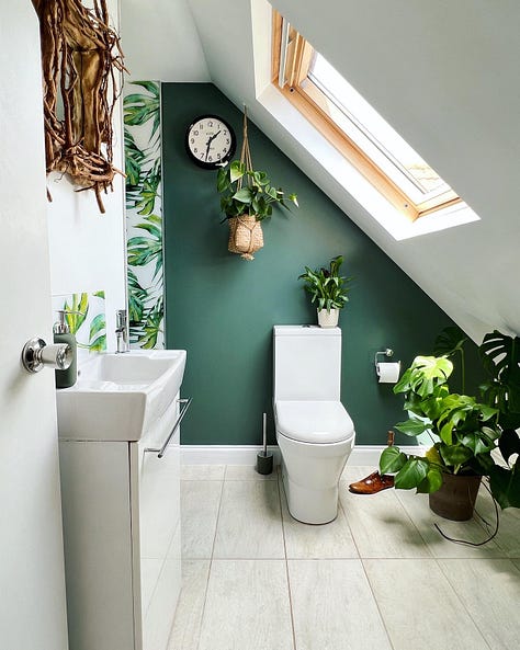 A green shower room with hanging plants, natural products, a vase of tulips