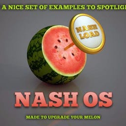 Substack profile picture for @nash