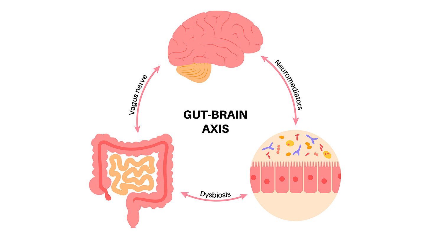Why addressing how our brain and our gut talk to each other matter for IBS Why addressing how our brain and our gut talk to each other matter for IBS