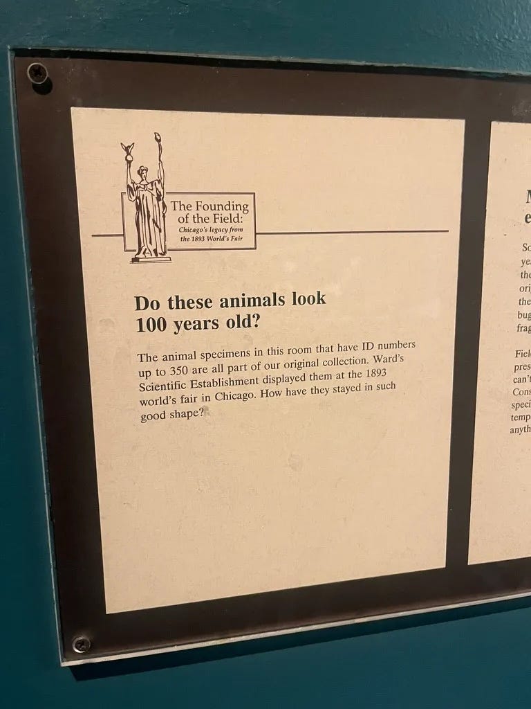 A posted note on a wall with the title "The Founding of the Field: Chicago's legacy from the 1893 World's Fair" and text "Do these animals look 100 years old?  The animal specimens in this room that have ID numbers up to 350 are all part of our original collection. Ward's Scientific Establishment displayed them at the 1893 world's fair in Chicago. How have they stayed in such good shape?"