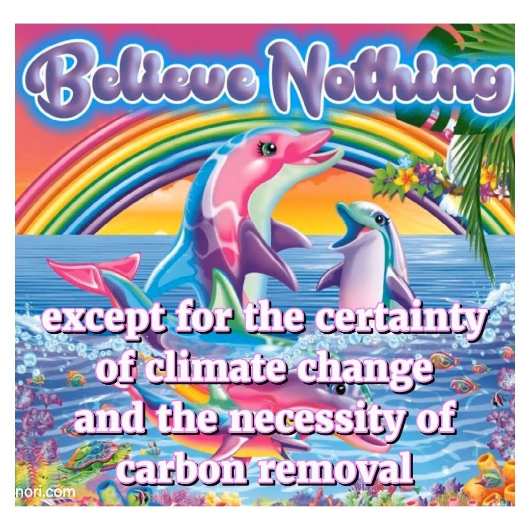 Lisa Frank style illustration of rainbow dolphins leaping over the sea. Text: "Believe nothing except for the certainty of climate change and the necessity of carbon removal."