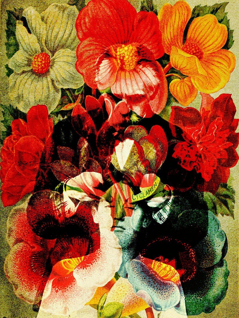 Collage illustrating the concept of consciousness.