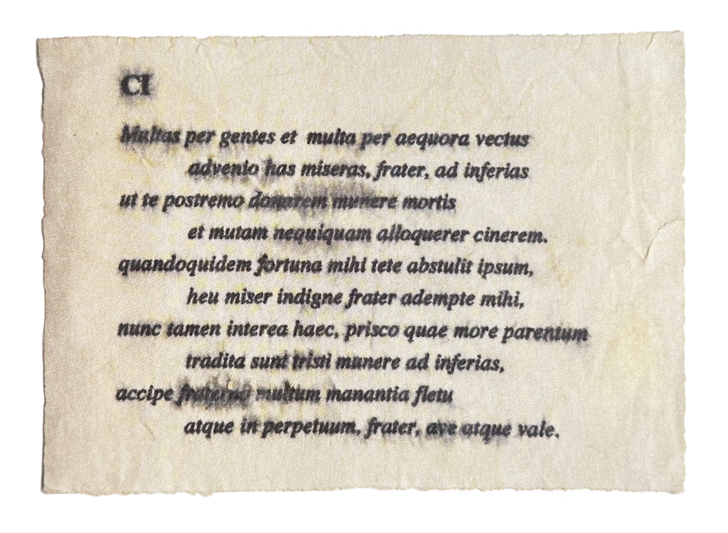 AYUDA] ¿poemas similares para un funeral? : r/Poetry, image size:1456x1066