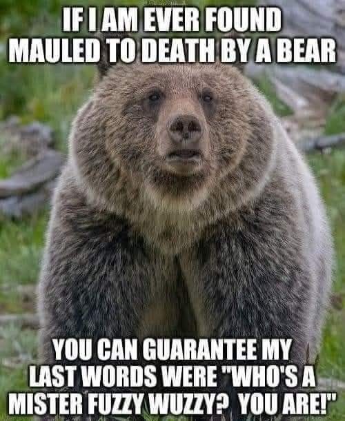 No photo description available.